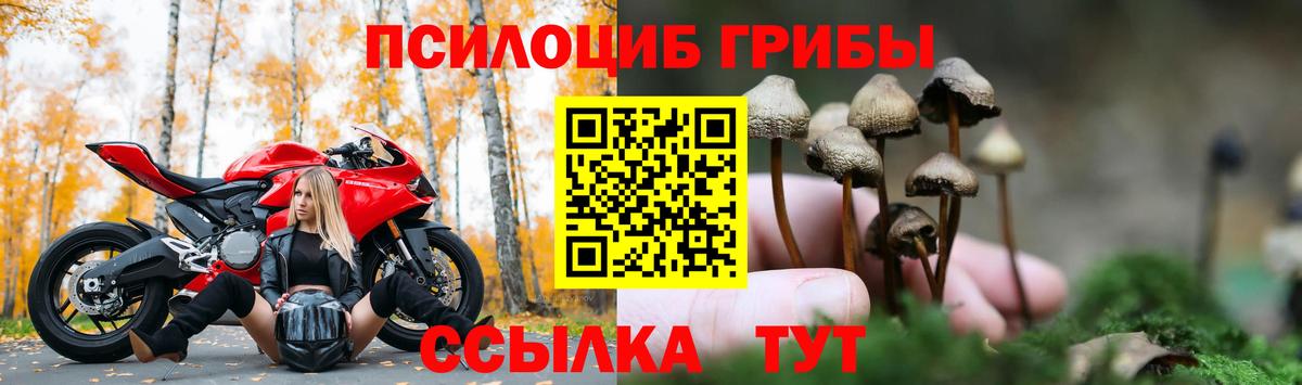 Унеча  Псилоцибиновые грибы Magic Shrooms  Галлюциногенные грибы Psilocybe  Вход с VPN 